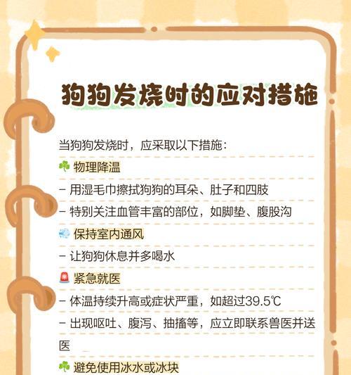 如何在家发现狗狗发烧（快速准确的狗狗体温测量方法）