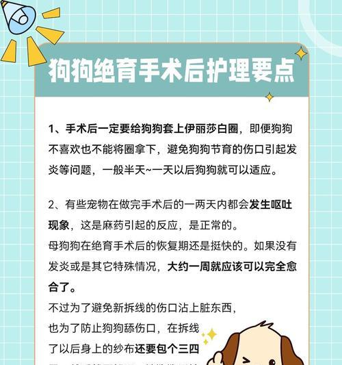 狗狗绝育后需要多久休息？（绝育手术后的恢复时间及注意事项）