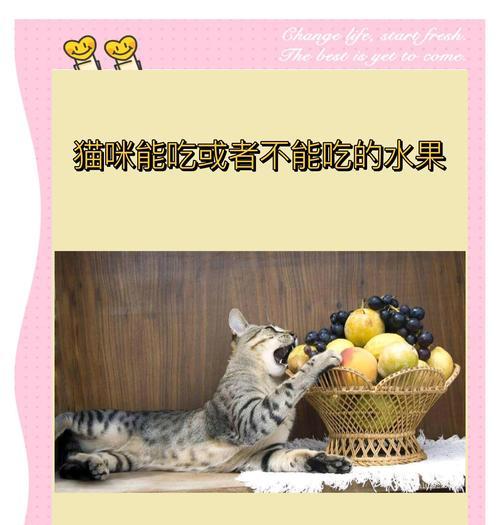 猫咪的饮食禁忌（猫咪的健康从饮食开始，这些水果需谨慎）