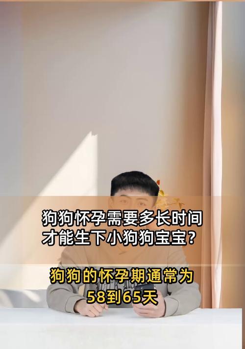狗怀孕多久能测出来？（了解狗的怀孕周期以及怀孕检测方法）