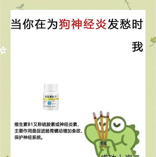 小狗脑炎的生命期限究竟有多长？（探索小狗脑炎的预后和治疗方案）