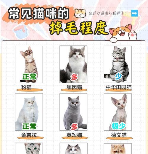 猫咪剃毛后的生长周期（探究猫咪剃毛后多久会重新长出毛发及其影响因素）