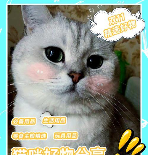 8磅猫粮能吃多久？（揭秘猫粮消耗速度的秘密）