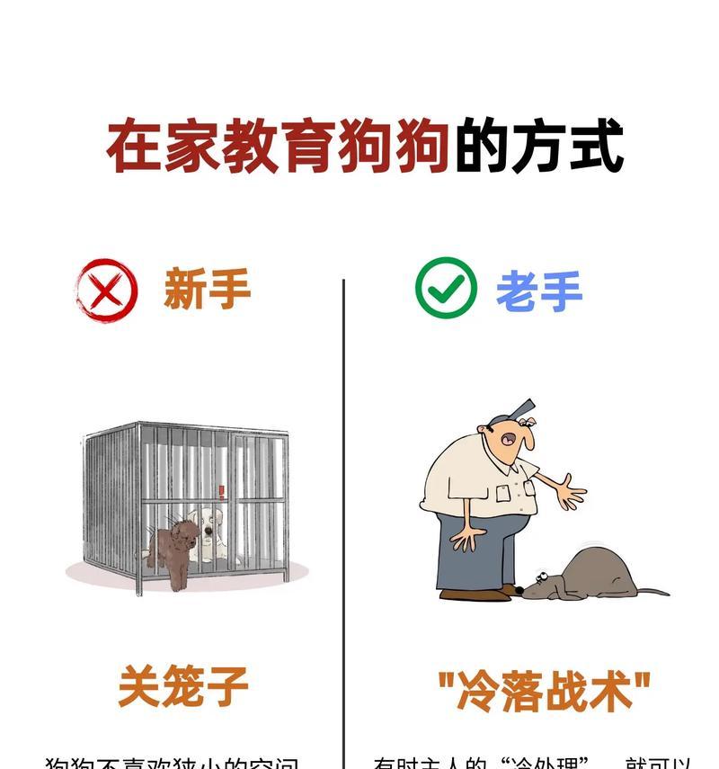 狗妈妈的陪伴对于狗狗成为好狗的重要性（揭秘狗妈妈陪伴的必要性和影响力）