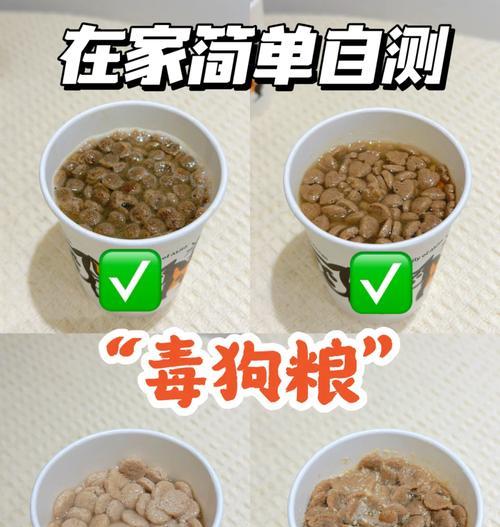 小狗吃狗粮需要泡多久才合适？（探索小狗狗粮泡水时间的最佳实践方法）