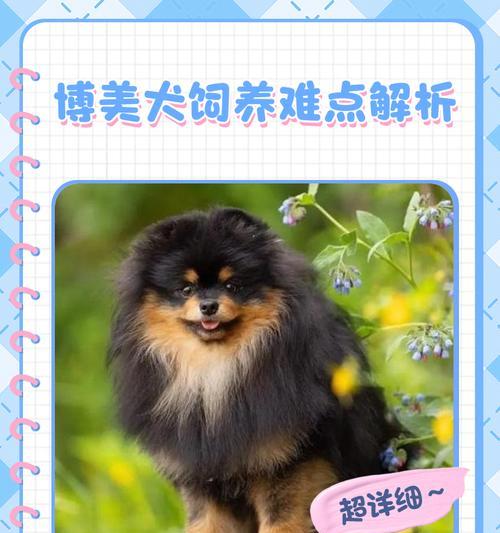 博美犬遗传性疾病的全面解析（探索博美犬常见遗传性疾病的发病原因及预防措施）
