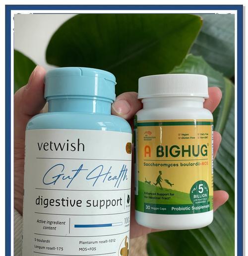 狗狗益生菌（了解市场上的狗狗益生菌品牌和选择的关键）
