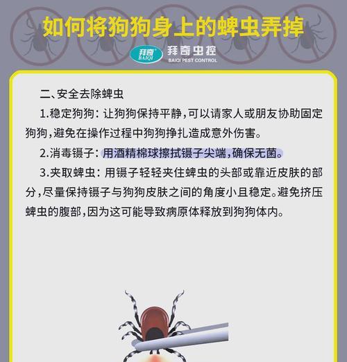 狗感染蜱虫发作时间及防治方法（蜱虫感染狗的发作时间、症状及预防措施分析）