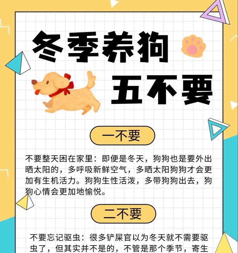 关于犬的喂养注意事项（养犬如何科学合理地喂食）