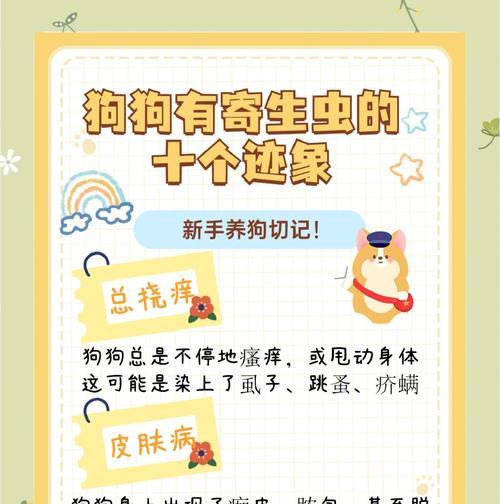 狗狗体外常见寄生虫及其防治方法（了解狗狗体外寄生虫，守护宠物健康）