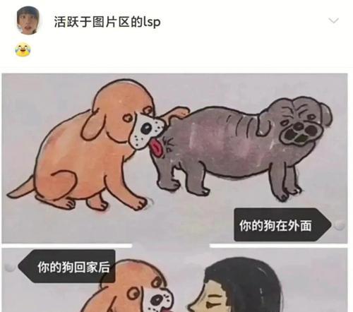 掌握养法斗的6大关键，让你的法斗生活无忧（提升养法斗的技巧，解决养法斗的痛点）
