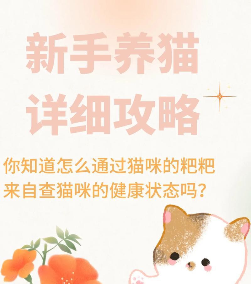 炎热夏天如何为猫咪避暑降温？（掌握这些小技巧，让你的猫咪在夏天舒适度过）
