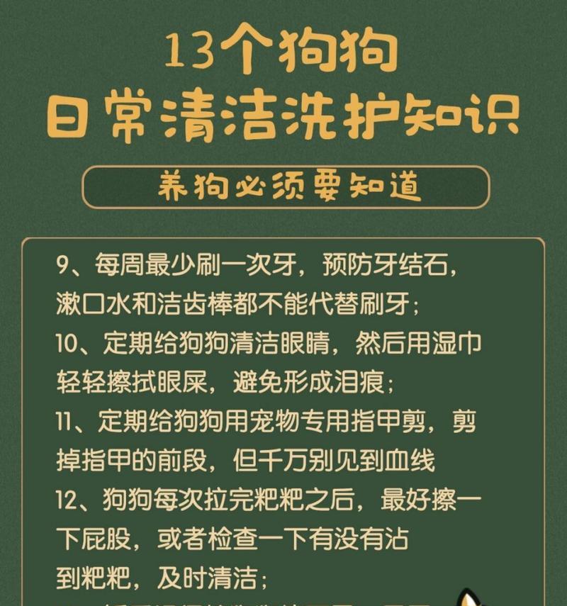 家养狗洗澡的频率探讨（适当洗澡保持宠物健康忌频繁洗澡伤害毛发）