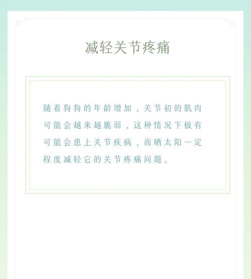 狗的日晒时间要适度（保护宠物狗健康的关键是控制晒太阳的时间）