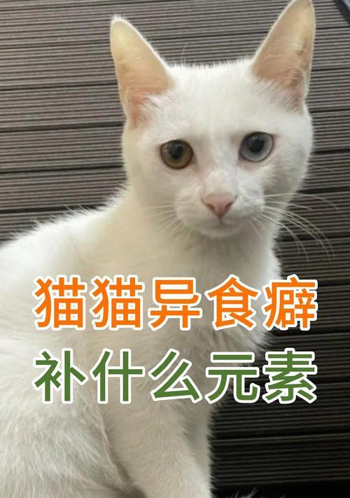 解密猫咪的异食癖（揭秘猫咪异食癖的原因和如何处理，）