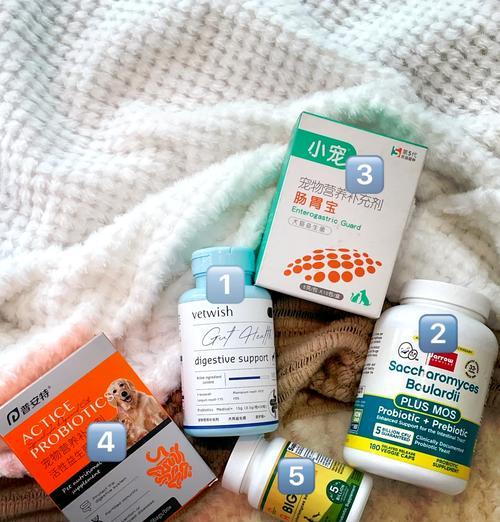 选择合适的益生菌，帮助狗狗缓解拉肚子（如何选取适合的益生菌种类，让狗狗恢复肠道健康）