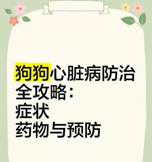 急救狗狗心脏病突发和肺水肿的步骤（如何正确应对狗狗心脏病和肺水肿的紧急情况）