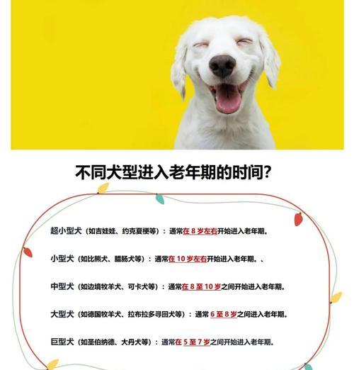 狗狗的年龄对照表（了解狗狗真实年龄，用科学方法衡量宠物时光流逝的速度）