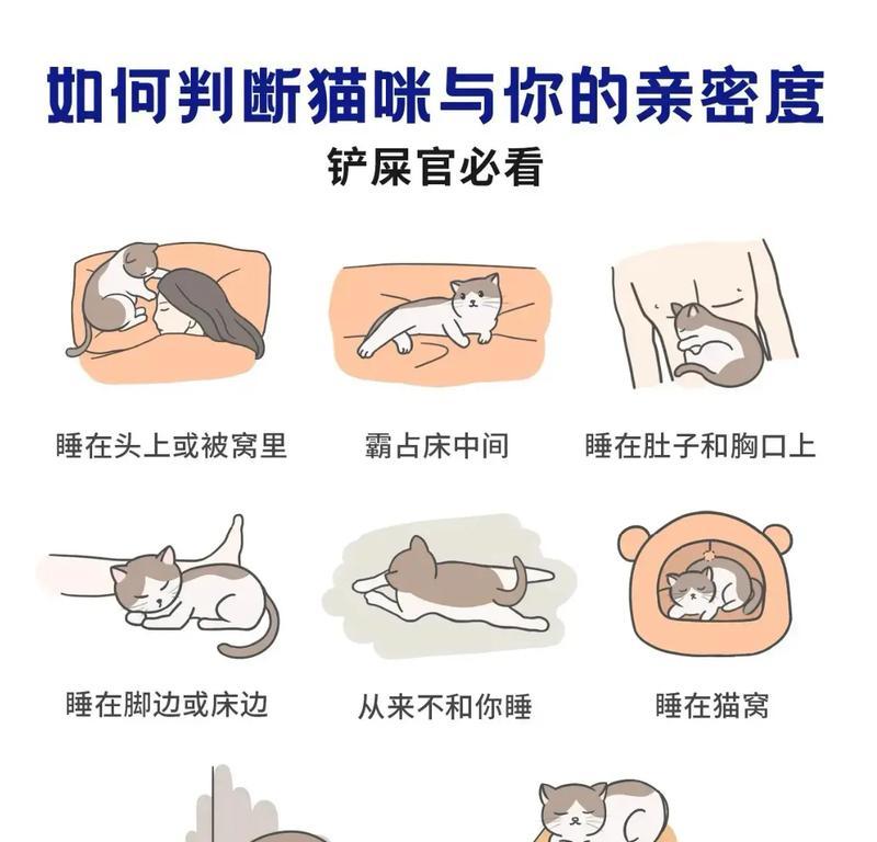 三个月小狗一天需要睡多久？（揭秘小狗睡眠需求及影响因素）