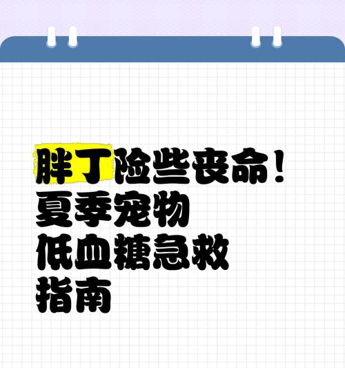 狗狗引发低血糖的原因及预防措施（了解狗狗引发低血糖的原因，保护它们的健康）