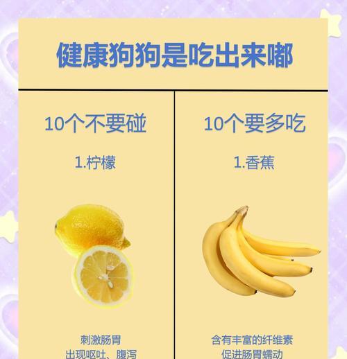 小狗吃狗粮前需泡多久？（关于小狗吃狗粮前泡水的正确时间和方法）