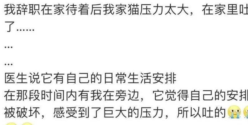 小猫吃一次烦管能持续多久？（探究小猫消化能力和饮食习惯的关系）