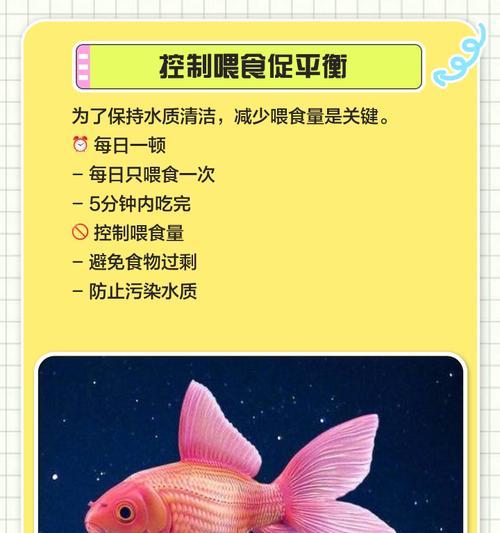 掌握调节鱼缸酸碱性的小技巧（打造适宜鱼类生存环境的调pH方法）