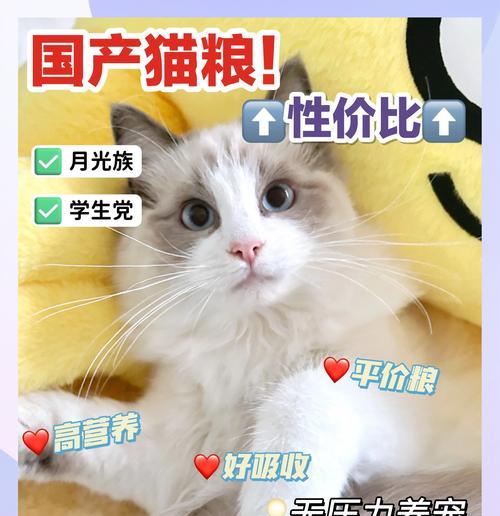 与这几个品种的猫相处，让你上瘾！（脾气好、随便你撸，这几个品种的猫将成为你最爱的伴侣。）