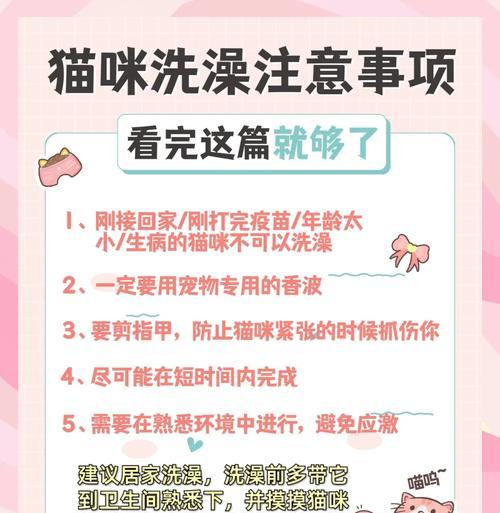 猫咪内驱虫后的适宜洗澡时间（保护猫咪健康的洗澡频率和注意事项）