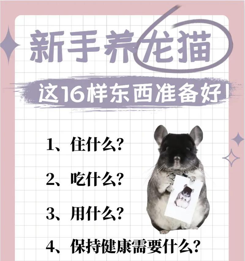 龙猫主粮放多久才合适？（探索龙猫主粮的保存期限及储存技巧）