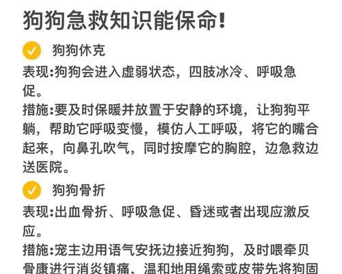 狗狗窒息致死时间的关键因素（探究狗狗窒息致死的时间限制及其影响因素）