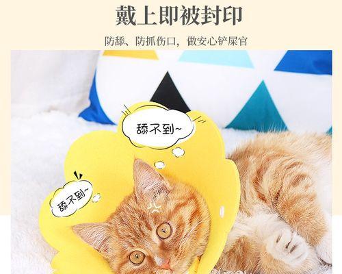 绝育后多久可以不戴头套？（绝育后安全性保障的时间和注意事项）