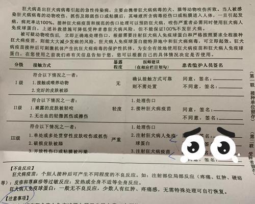 打了狂犬疫苗后多久可以洗澡？（洗澡与狂犬疫苗接种的关系及注意事项）