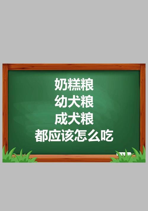 小狗吃奶糕的时间有多久？（揭秘小狗吃奶糕的合适时长及注意事项）