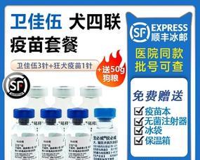 辉瑞卫佳5（辉瑞卫佳5的接种间隔、安全性和有效性分析）
