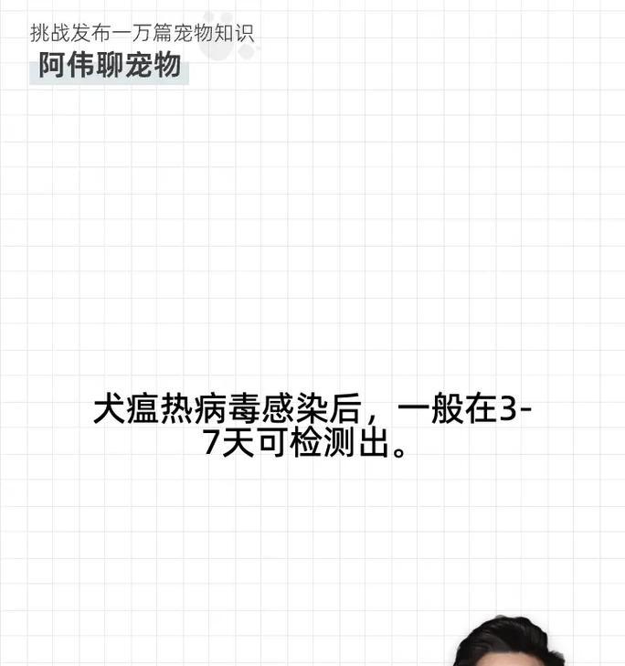 犬瘟病毒能存活多久？揭秘其存活时间及防控方法（探究犬瘟病毒的存活能力及防控对策，保护爱犬健康）