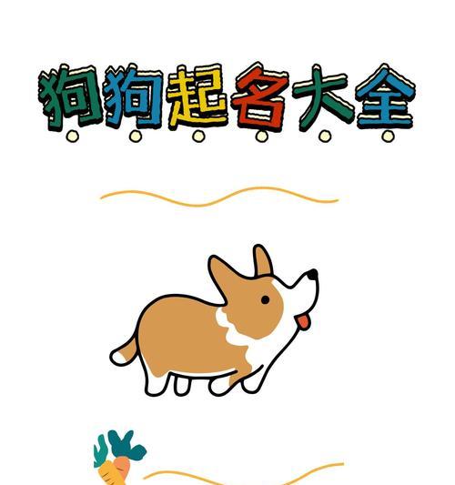 狗的记忆力有多久？（探究狗对名字的记忆能力及影响因素）