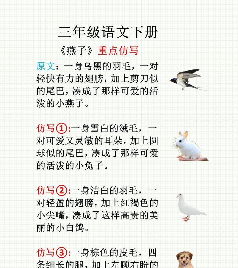 鸟类声音模仿人语的奇妙世界（探索鸟类语言中的人类对话之谜）