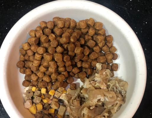 金毛犬的饮食禁忌与注意事项（了解金毛犬的食物禁忌，给它健康的饮食环境）
