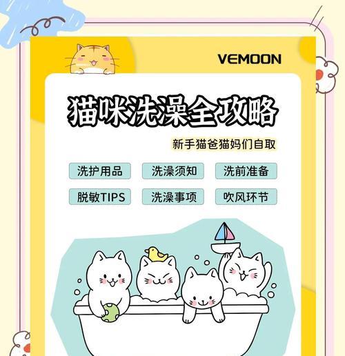 猫咪驱虫后可以洗澡吗？（洗澡与猫咪驱虫的最佳时间）