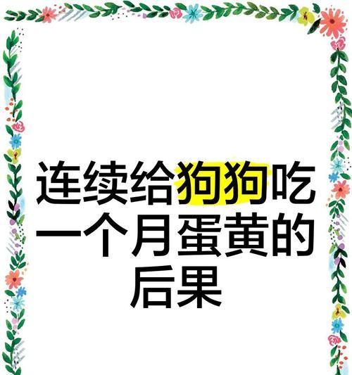 四个月的狗适合吃蛋黄吗？（了解四个月狗狗的饮食需求和蛋黄的好处）