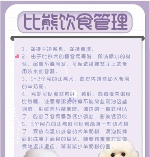 比熊出生后什么时候适合剪毛？（比熊剪毛的最佳时机及注意事项）