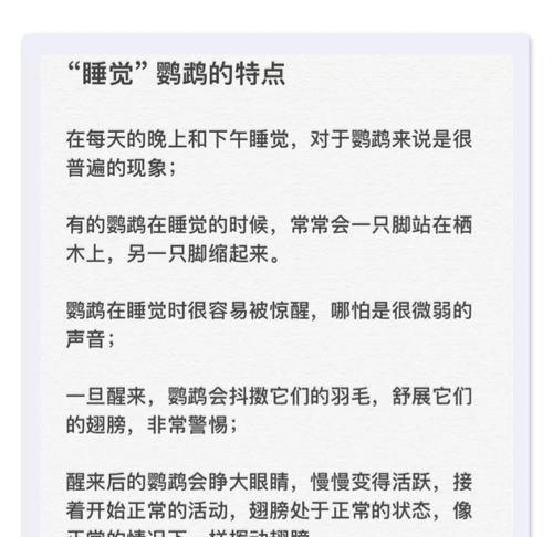 鹦鹉的睡眠习惯及其重要性（探究鹦鹉的睡眠时间和理想环境）