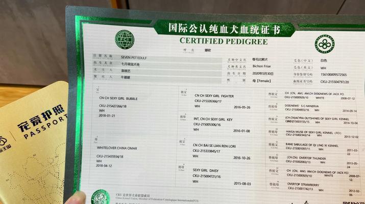 狗埋针能保持多久？（揭秘狗埋针的保质期）