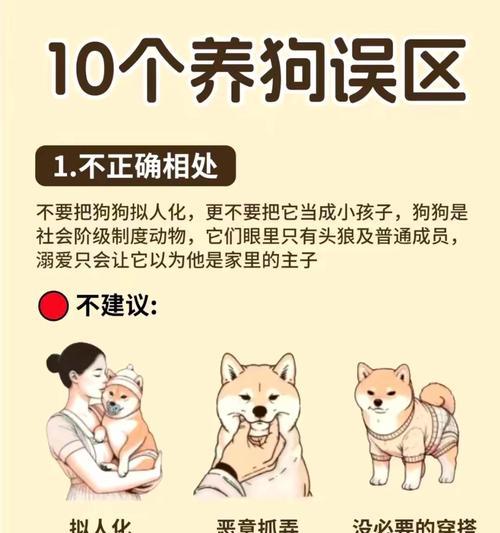 狗狗对主人的表达方式（狗狗如何向主人表达爱意、忠诚和尊重）