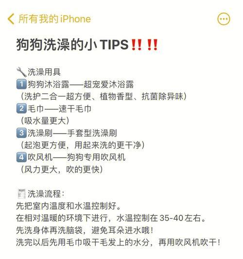 狗狗下完崽后多久可以洗澡？（洗澡时间对狗狗健康的重要性）