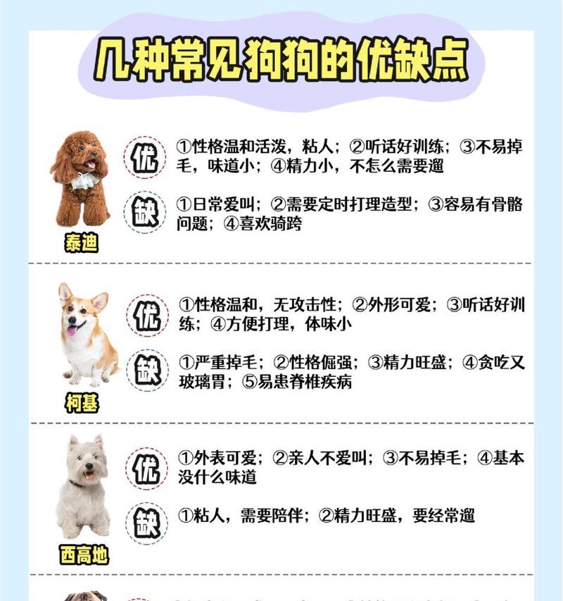 泰迪狗的优缺点分析（了解泰迪狗的特点，选择适合自己的宠物伙伴）