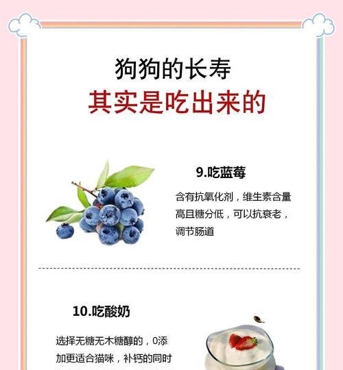 狗狗毛发亮丽的秘密（探索狗狗食物，打造闪亮毛发）