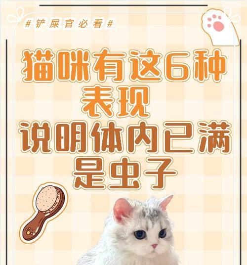 如何辨别猫咪感染了寄生虫？（四个症状要注意了！）