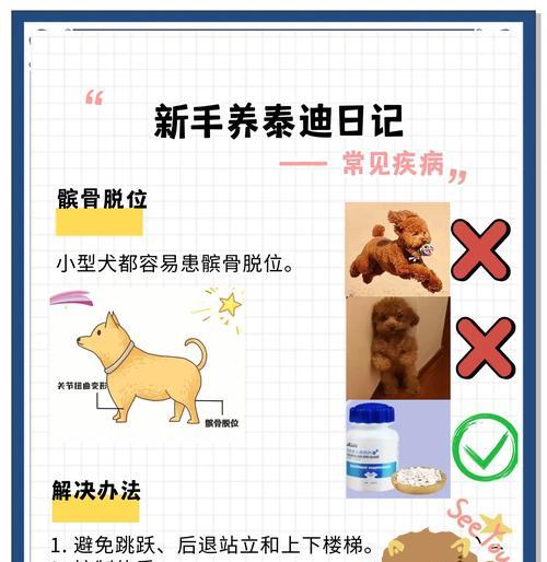 泰迪除虫的时间周期及注意事项（养泰迪犬需了解的除虫时间和方法）